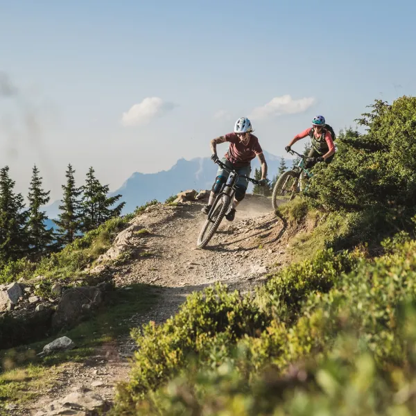 Mountainbiker auf dem Hacklberg-Trail